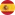 Spain Flag